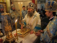 Служение Митр. Павла 2015