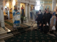 Служение Митр. Павла 2015
