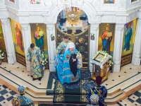 Cлужение Митрополита Павла, 2019г.