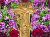 imgp5371_1m