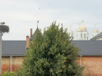Паломничество в Зимно, 2018г.