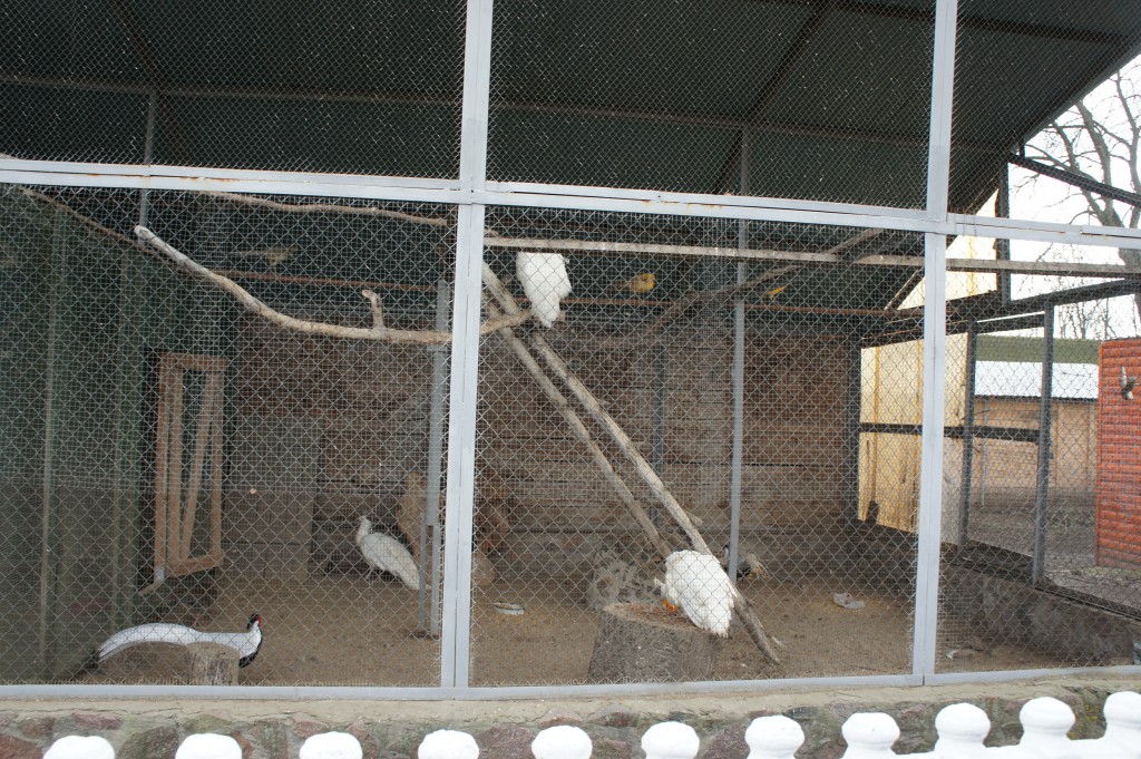Паломничество в Томашевку, 2019