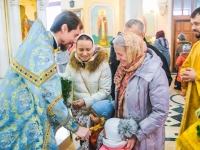 Сретение Господне 2019
