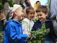 Пятидесятница 2015