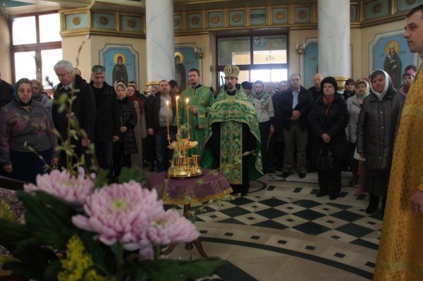 Вербное воскресенье 2015