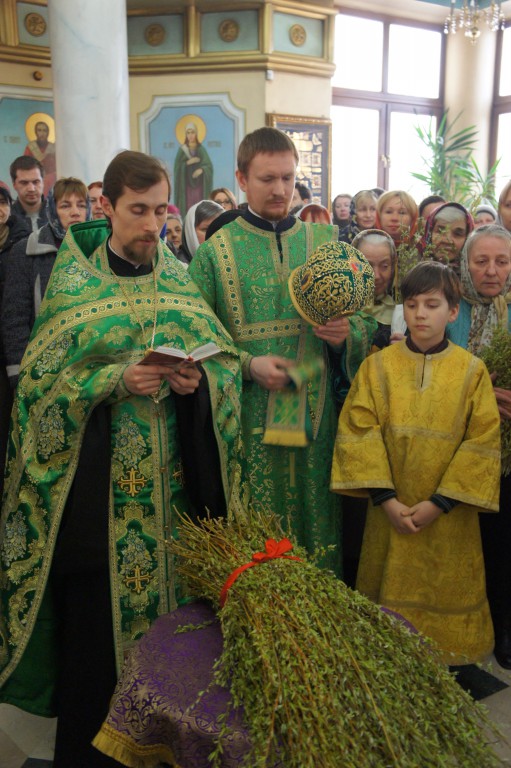 Вербное воскресенье 2015