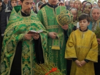 Вербное воскресенье 2015
