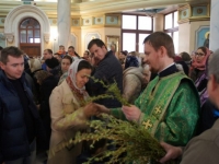 Вербное воскресенье 2015