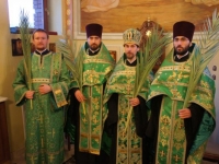 Вербное воскресенье 2015