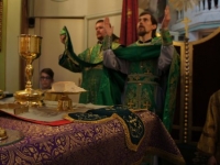 Вербное воскресенье 2015