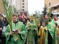 Вербное воскресенье 2015