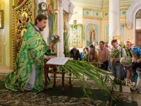 Пятидесятница 2016