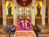 Мчч. Маккавеев, 2015