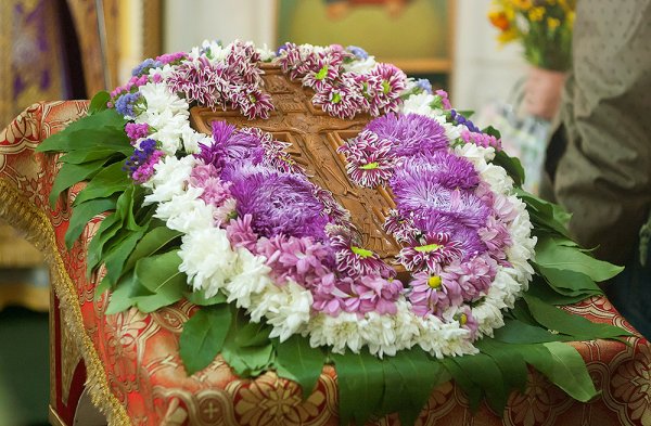 Мучч. Маккавеев, 2016г.