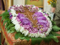 Мучч. Маккавеев, 2016г.