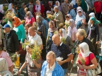 Мучч. Маккавеев, 2016г.