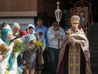 Мучч. Маккавеев, 2016г.