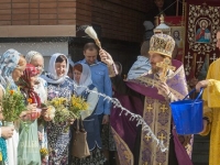 Мучч. Маккавеев, 2016г.