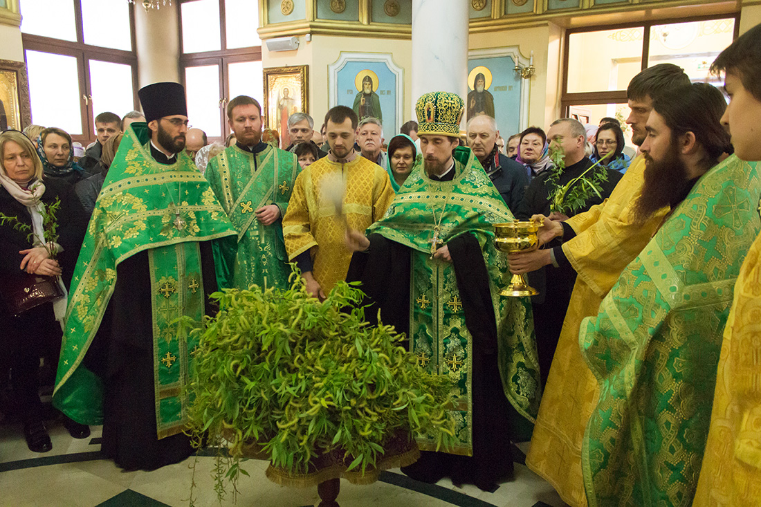Вербное воскресенье 2017
