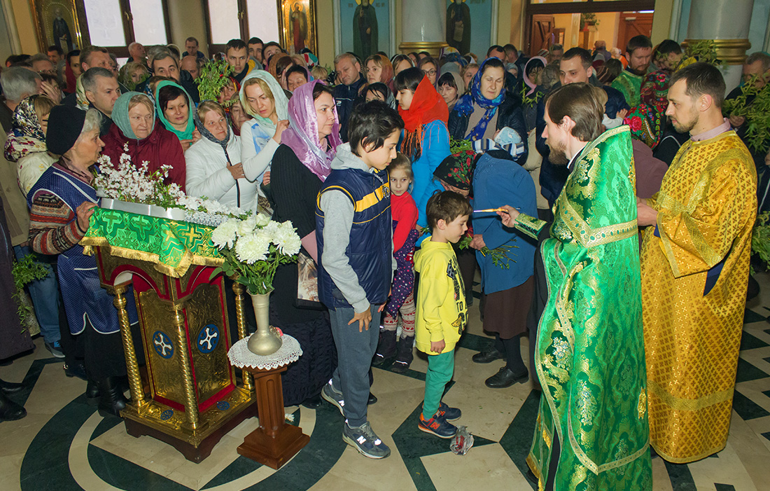 Вербное воскресенье 2017