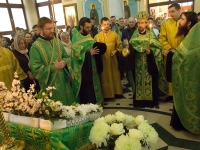 Вербное воскресенье 2017