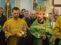 Вербное воскресенье 2017