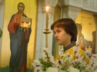 Вербное воскресенье 2017