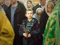 Вербное воскресенье 2017