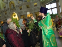 Вербное воскресенье 2017
