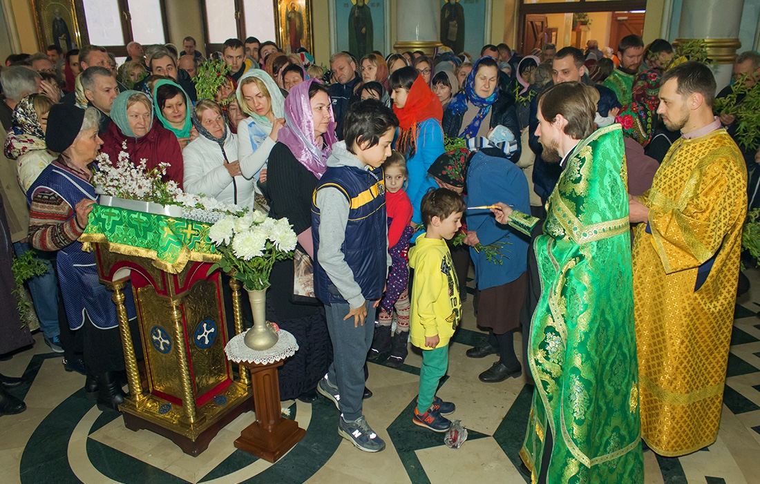 Вербное воскресенье 2017