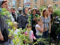 Вербное воскресенье, 2013
