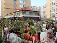 Вербное воскресенье, 2013