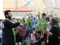 Вербное воскресенье, 2013