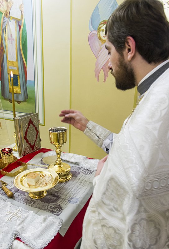 Рождество Христово, 2014г.