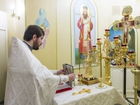 Рождество Христово, 2014г.