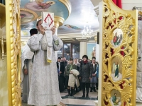 Рождество Христово, 2014г.