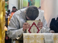 Рождество Христово, 2014г.