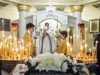 Рождество Христово, 2014г.