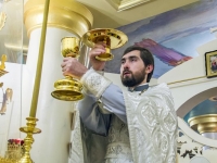 Рождество Христово, 2014г.