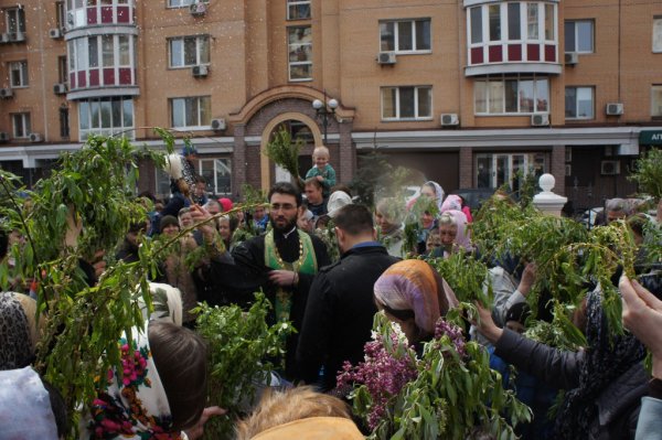 Вербное воскресенье 2016