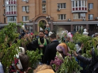 Вербное воскресенье 2016