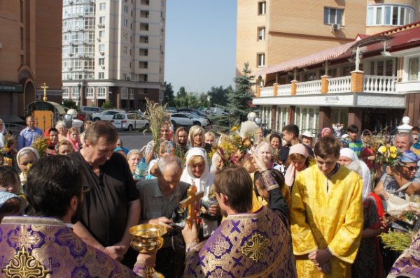 Мучч. Маккавеев, 2014