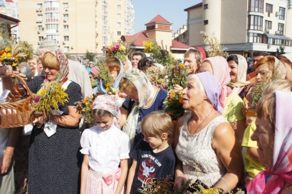 Мучч. Маккавеев, 2014