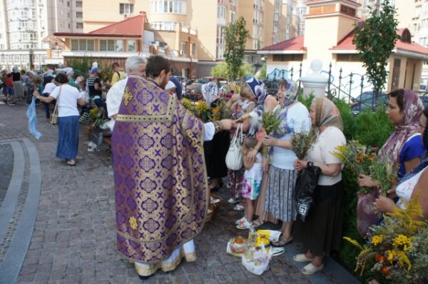 Мучч. Маккавеев, 2014