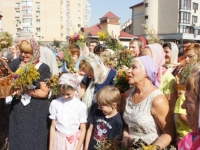 Мучч. Маккавеев, 2014