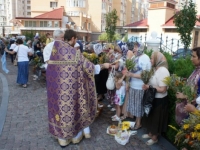 Мучч. Маккавеев, 2014
