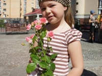 SONY DSC