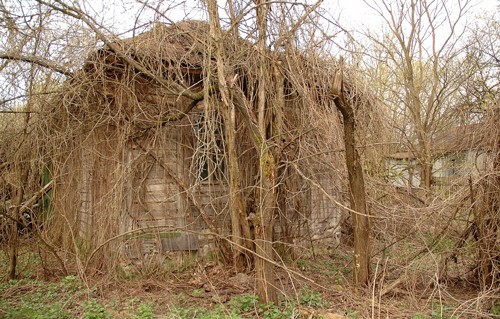 DSC_0055 DSC_0055