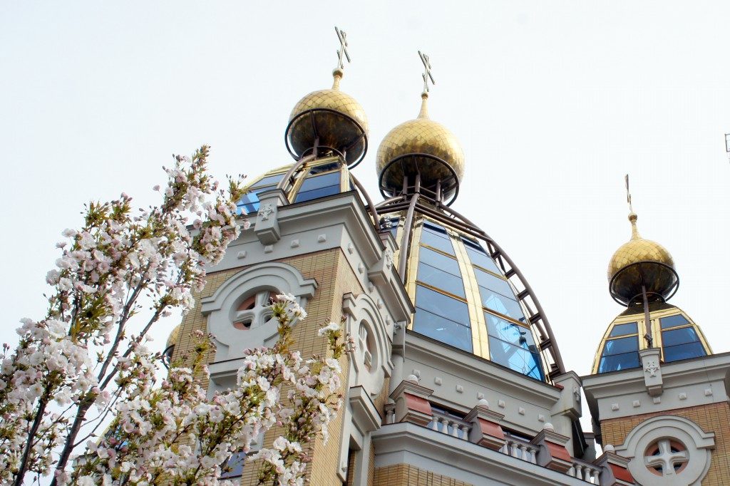 НОВОСТИ ПРИХОДА: Весна (фото)