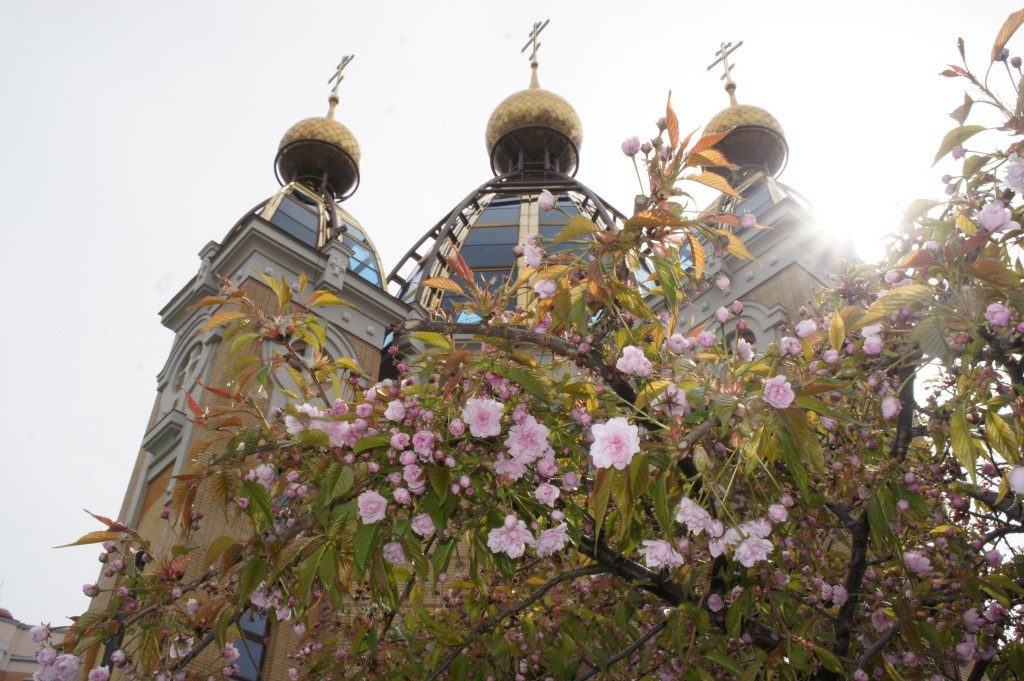 НОВОСТИ ПРИХОДА: Весна (фото)